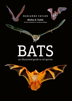 Bats: An illustrated guide to all species by Marianne Taylor