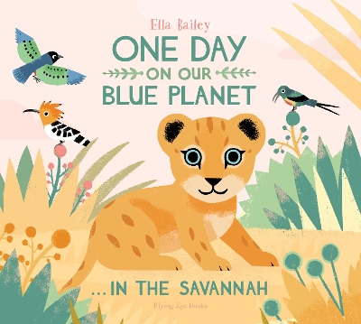 One Day on Our Blue Planet …In the Savannah book
