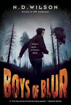 Boys Of Blur by N. D. Wilson