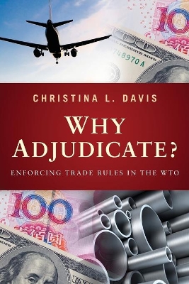 Why Adjudicate? book