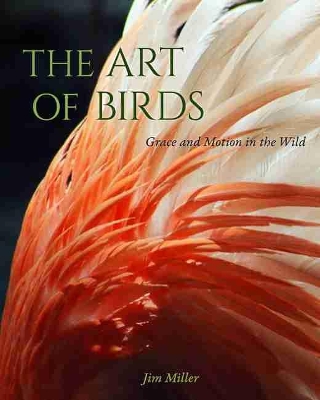 The Art of Birds: Grace and Motion in the Wild book
