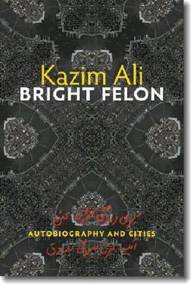 Bright Felon book