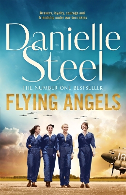 Flying Angels book