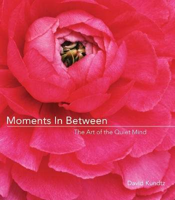 Moments in Between book