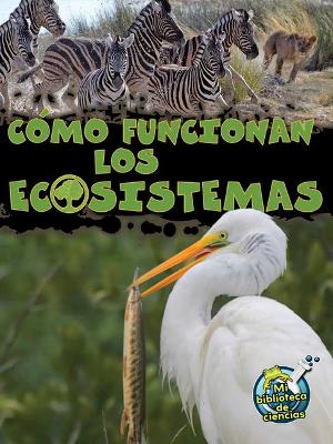 Como Funcionan Los Ecosistemas (How Ecosystems Work) by Julie K Lundgren