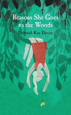 Reasons She Goes to the Woods book