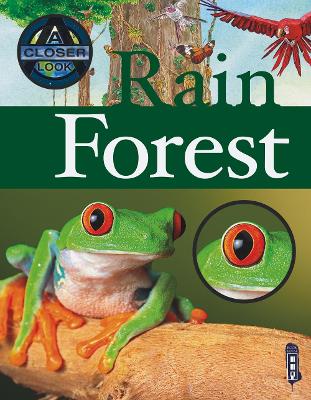 Rain Forest by Margot Channing