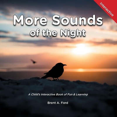 More Sounds of the Night: A Child's Interactive Book of Fun & Learning by Brent A Ford