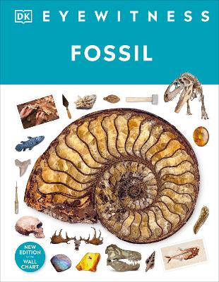 Fossil by Dr Paul David Taylor