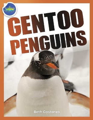 Gentoo Penguins activity workbook ages 4-8 book