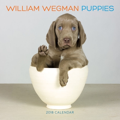 William Wegman Puppies 2018 Wall Calendar book