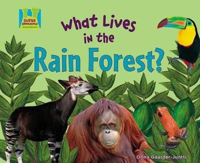 What Lives in the Rain Forest? book