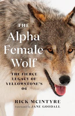 The Alpha Female Wolf: The Fierce Legacy of Yellowstone's 06 by Rick McIntyre
