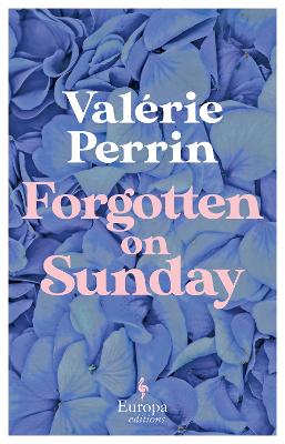 Forgotten on Sunday: From the million copy bestselling author of Fresh Water for Flowers by Valérie Perrin