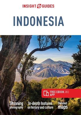 Insight Guides Indonesia (Travel Guide with Free eBook) book