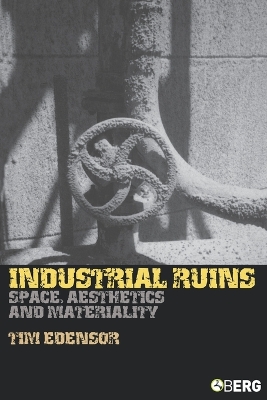 Industrial Ruins book