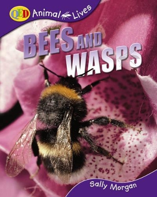 Bees and Wasps book