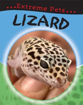 Lizard by Deborah Chancellor