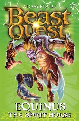 Beast Quest: Equinus the Spirit Horse book