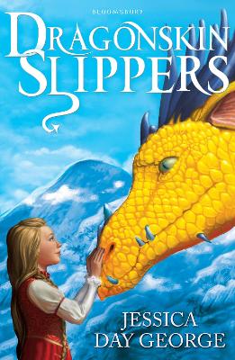 Dragonskin Slippers book