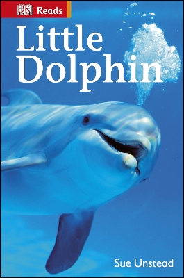 Little Dolphin book