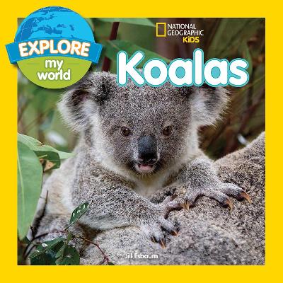 Explore My World Koalas book