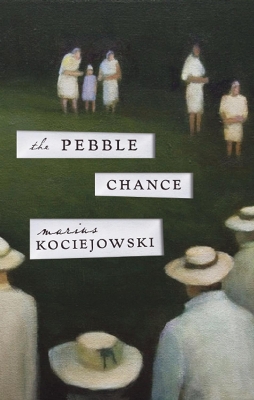 Pebble Chance book