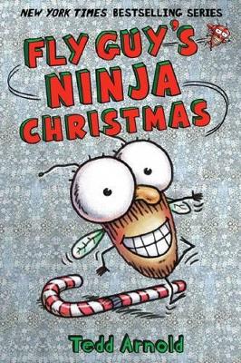 Fly Guy's Ninja Christmas book