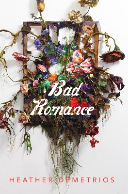 Bad Romance book