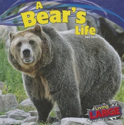 Bear's Life book