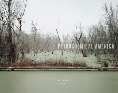 Petrochemical America book