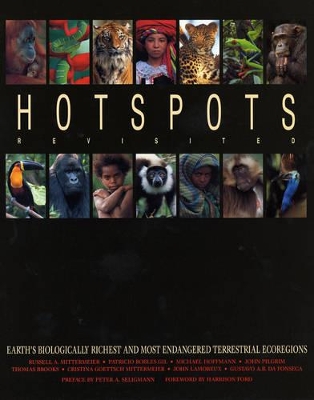 Hotspots Revisited book