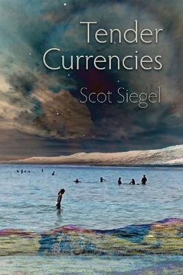 Tender Currencies book