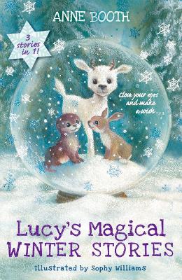 Lucy's Magical Winter Stories book