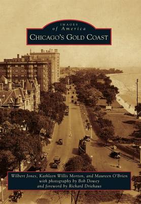 Chicago's Gold Coast by Wilbert Jones