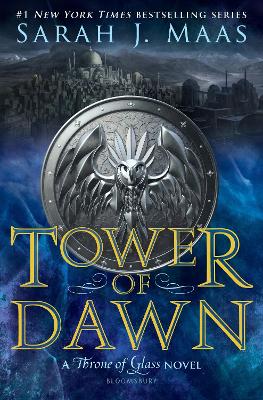 Tower of Dawn book