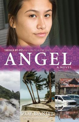 Angel: Through My Eyes - Natural Disaster Zones book