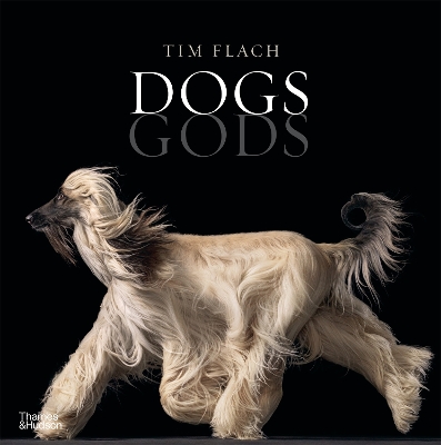 Dogs Gods book