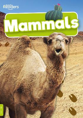 Mammals by Charlie Ogden