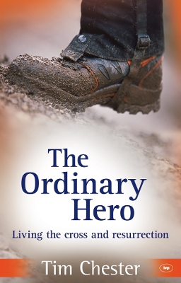 Ordinary Hero book