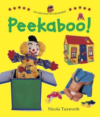 Say and Point Picture Boards: Peekaboo! book
