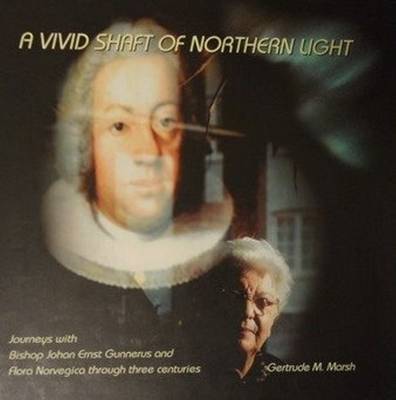 Vivid Shaft of Northern Light book
