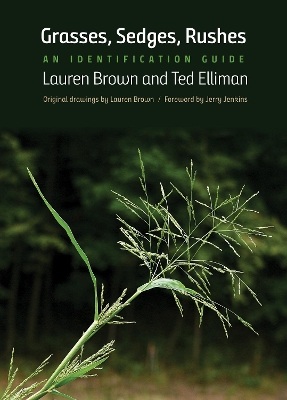 Grasses, Sedges, Rushes: An Identification Guide book