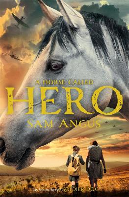 Horse Called Hero book