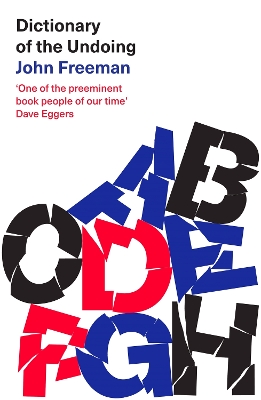 Dictionary of the Undoing book