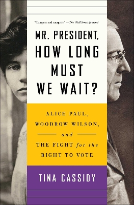 Mr. President, How Long Must We Wait?: Alice Paul, Woodrow Wilson, and the Fight for the Right to Vote book