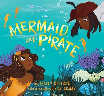 Mermaid and Pirate book