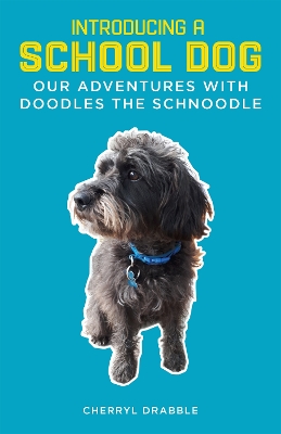 Introducing a School Dog: Our Adventures with Doodles the Schnoodle book