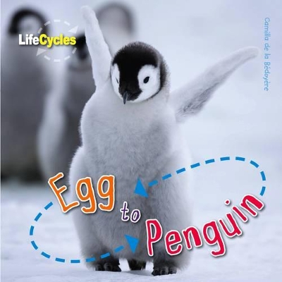 Egg to Penguin: Volume 12 book