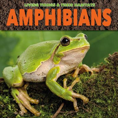 Amphibians by Grace Jones